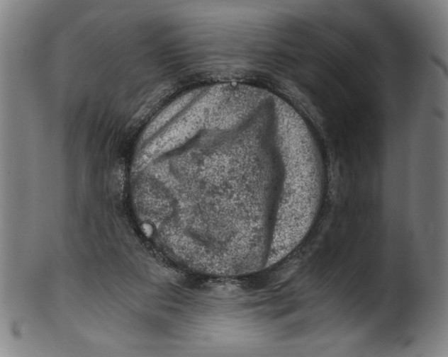 X0000100900113200807221001