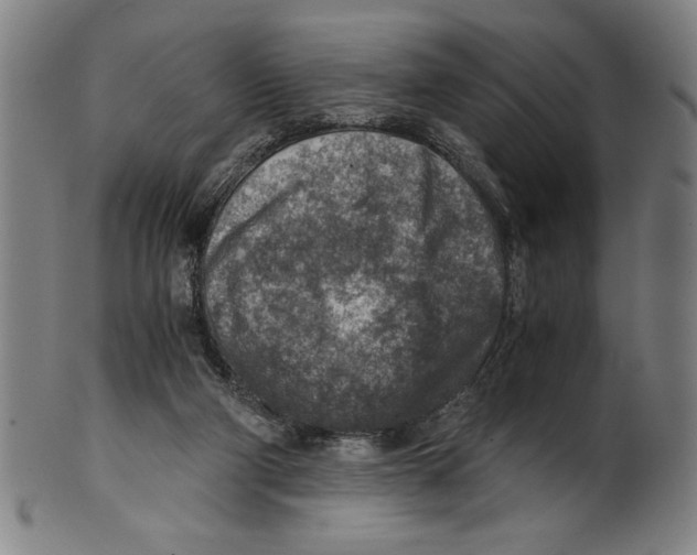 X0000100900114200807221001