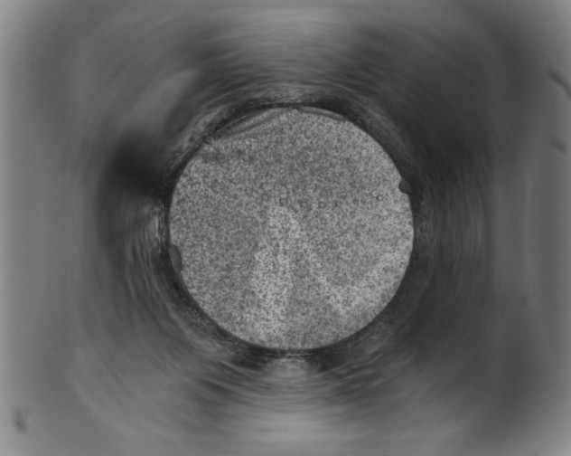 X0000100900119200807221001