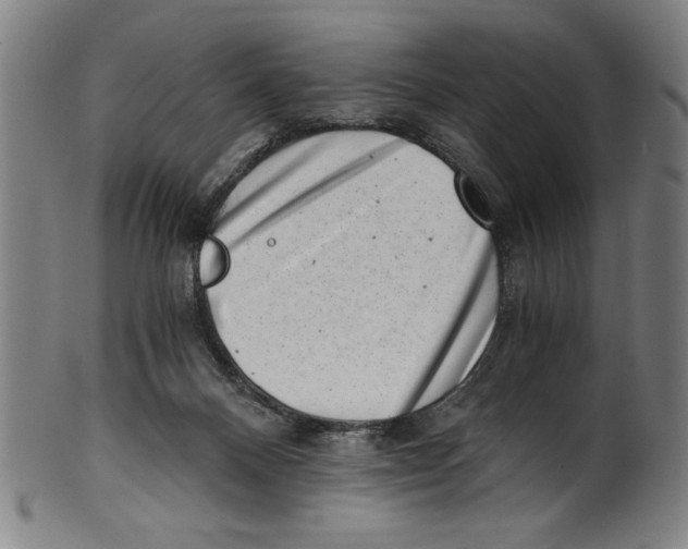 X0000100900120200807221001