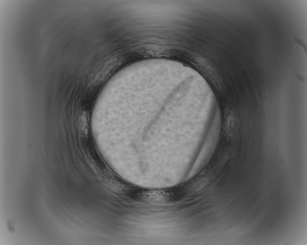 X0000100900121200807221001