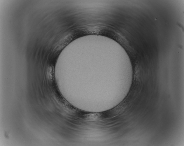 X0000100900122200807221001