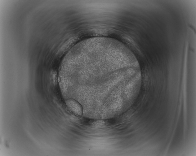 X0000100900123200807221001