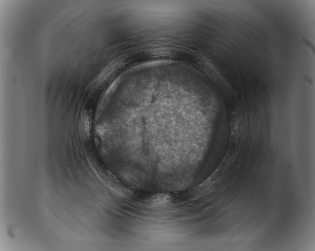 X0000100900124200807221001