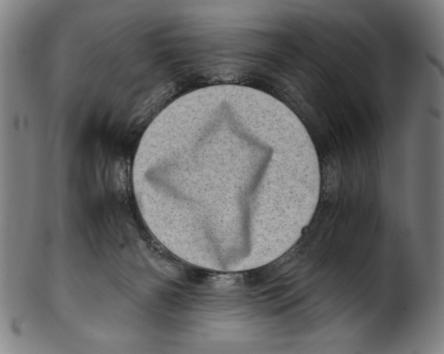 X0000100900126200807221001