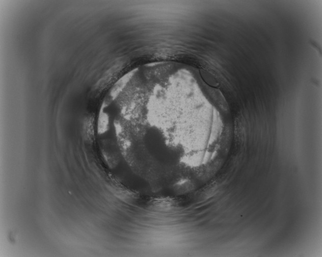 X0000100900127200807221001