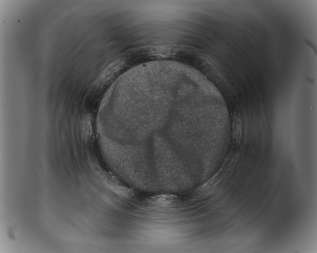 X0000100900128200807221001