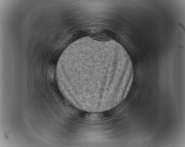 X0000100900129200807221001