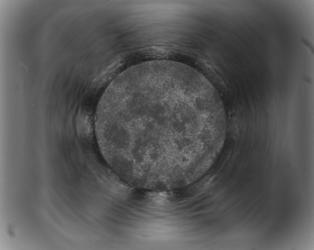 X0000100900131200807221001