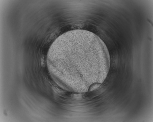 X0000100900134200807221000