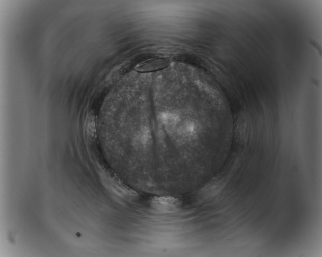 X0000100900137200807221000