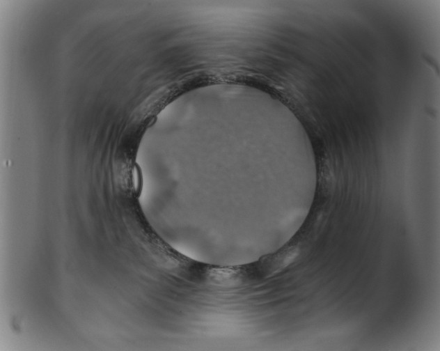 X0000100900139200807221000