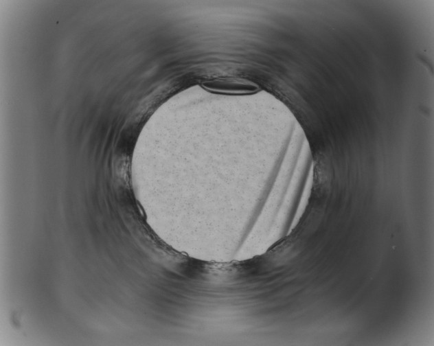 X0000100900141200807221000