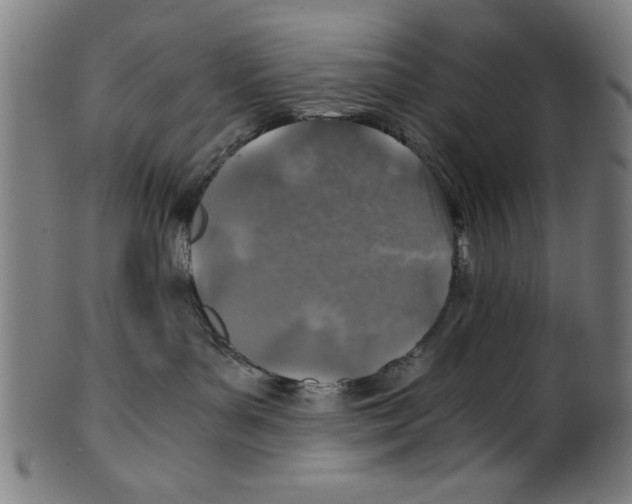 X0000100900143200807221000