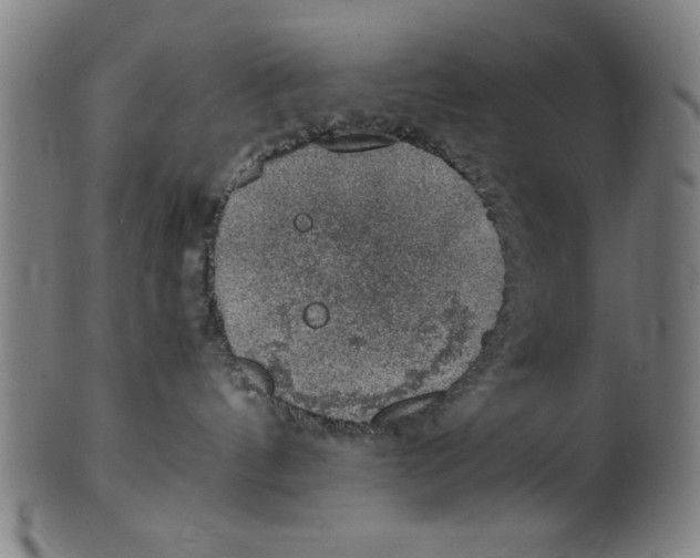 X0000100900144200807221000