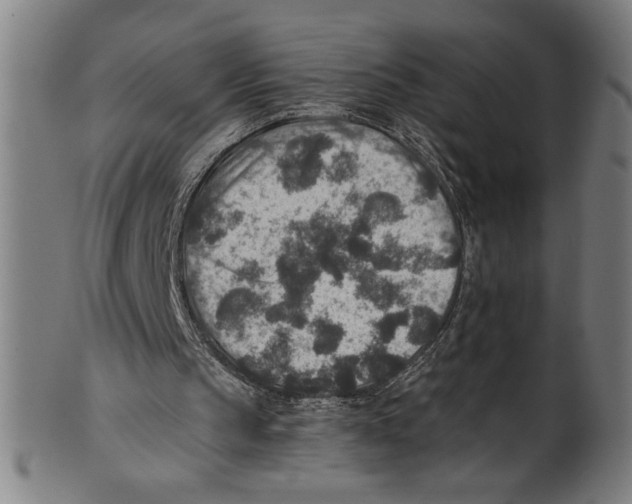 X0000100900145200807221000