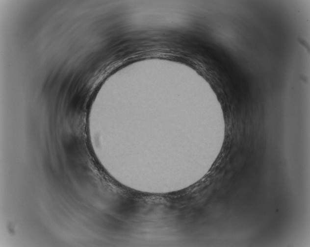 X0000100900146200807221000