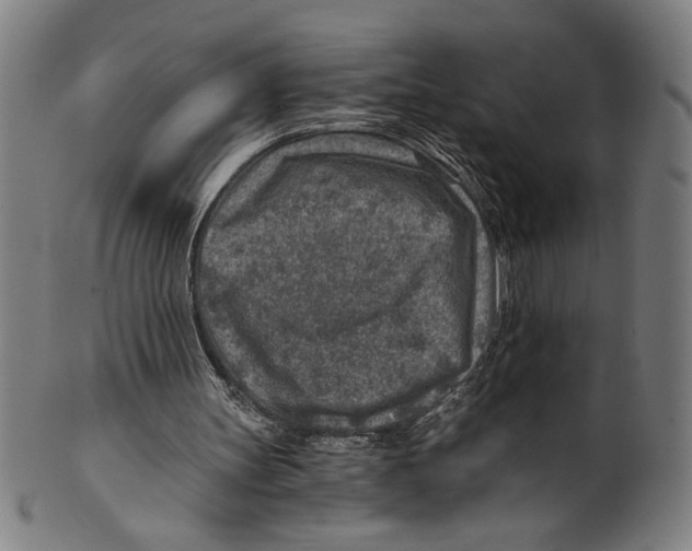 X0000100900147200807221000