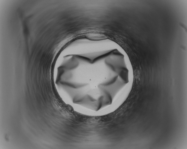 X0000100900148200807221000