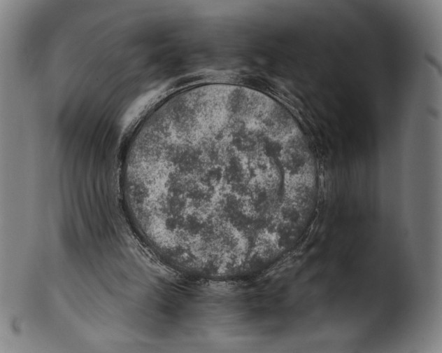 X0000100900149200807221000