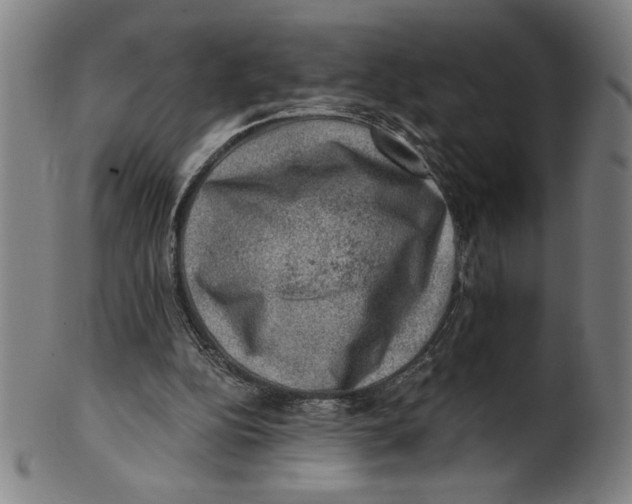 X0000100900152200807221000