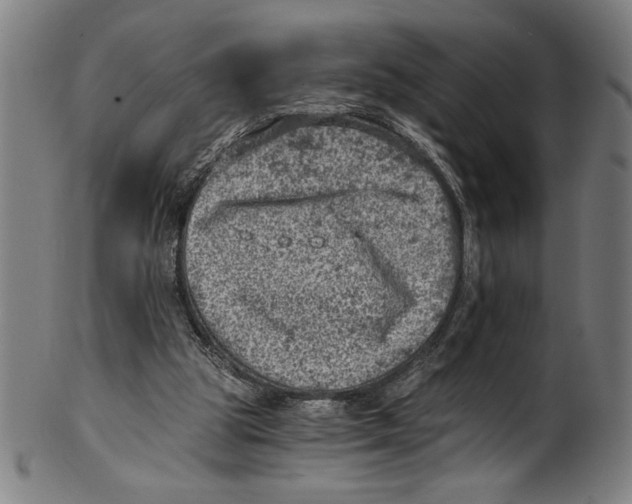 X0000100900153200807221000