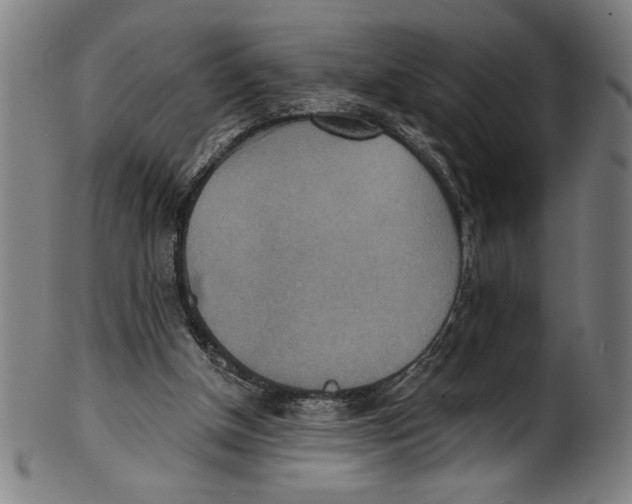 X0000100900154200807221000