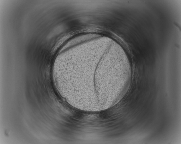 X0000100900155200807221000