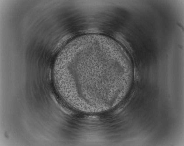 X0000100900157200807221000