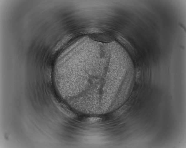 X0000100900158200807221000