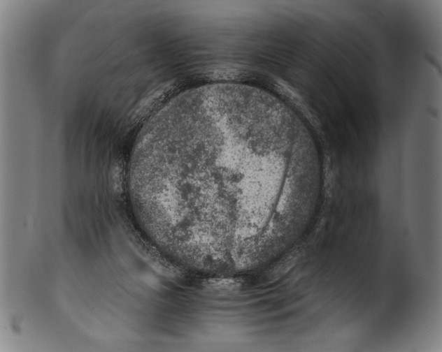 X0000100900161200807221000