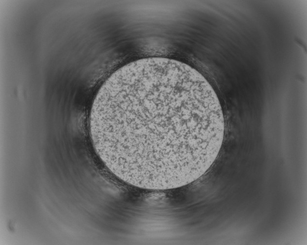 X0000100900162200807221000