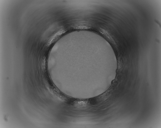 X0000100900163200807221000