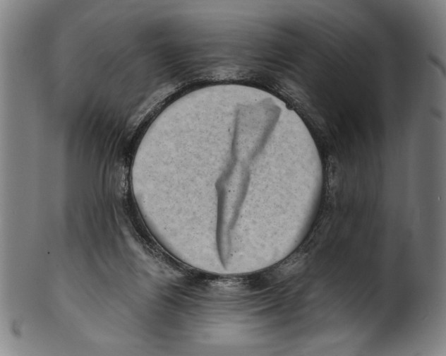 X0000100900164200807221000