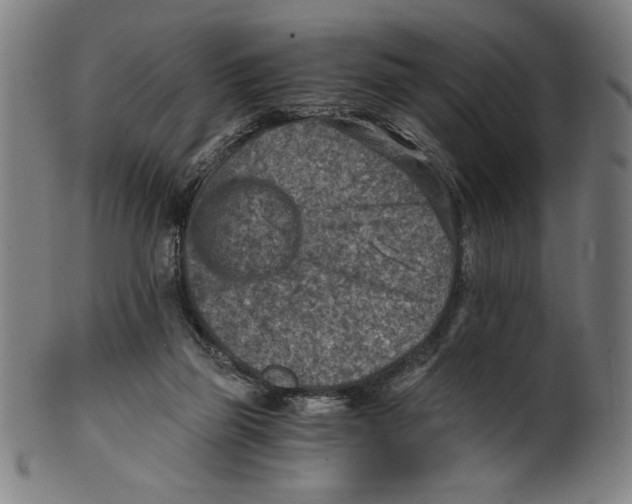 X0000100900165200807221000