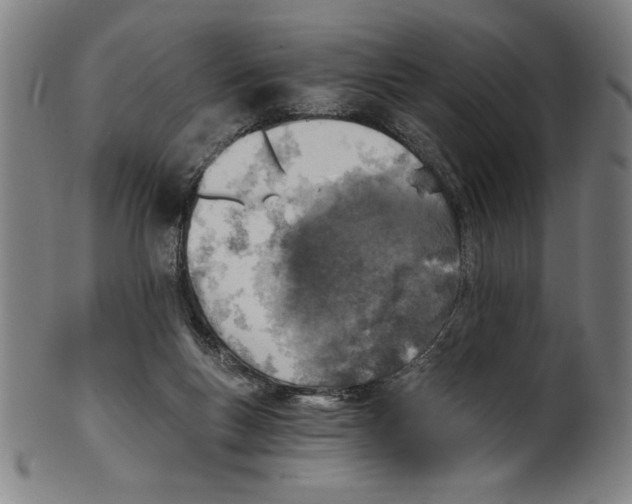 X0000100900167200807221000