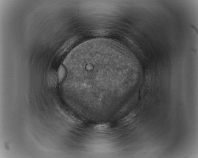 X0000100900168200807221000