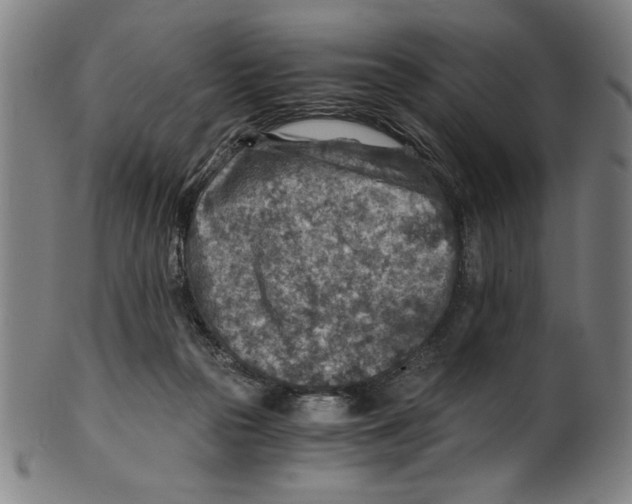 X0000100900169200807221000