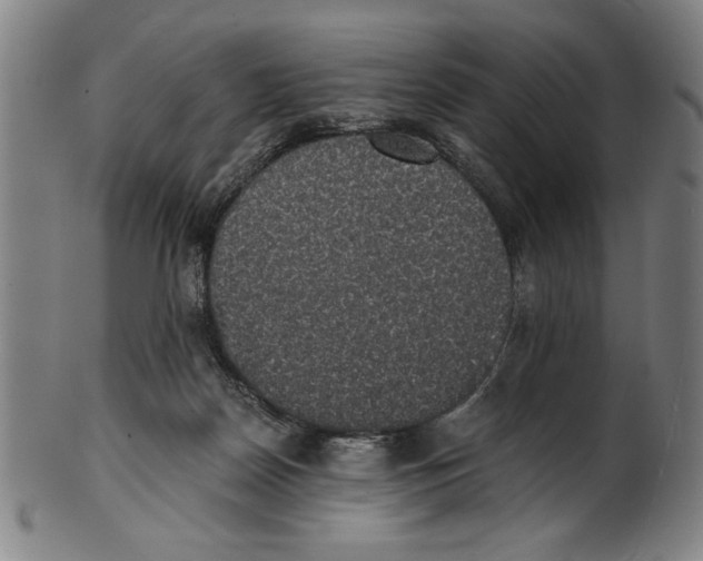 X0000100900170200807221000