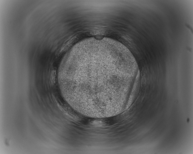 X0000100900171200807221000