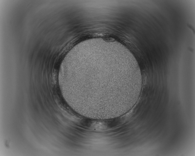 X0000100900174200807221000