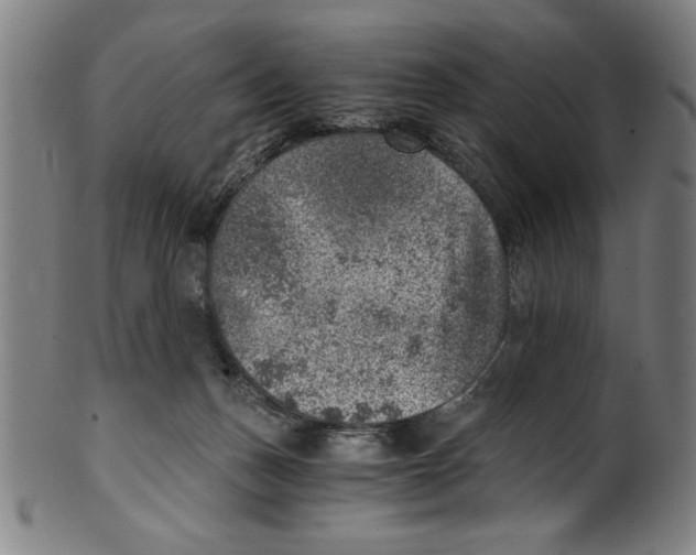 X0000100900175200807221000