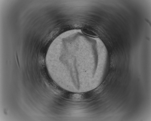 X0000100900176200807221000