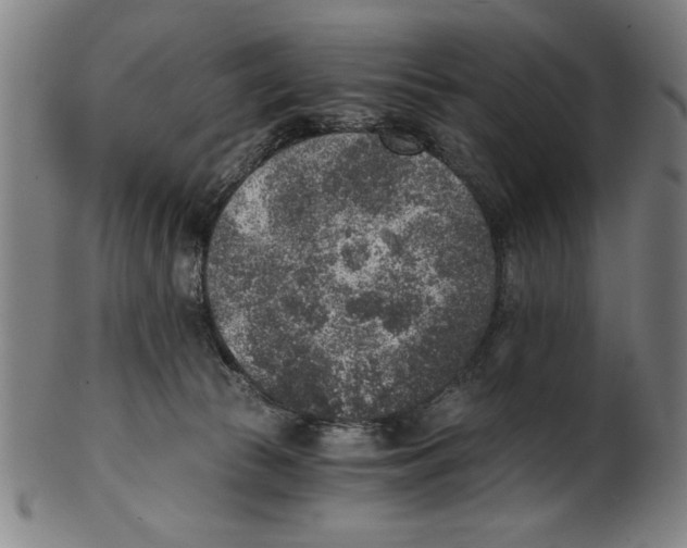 X0000100900177200807221000