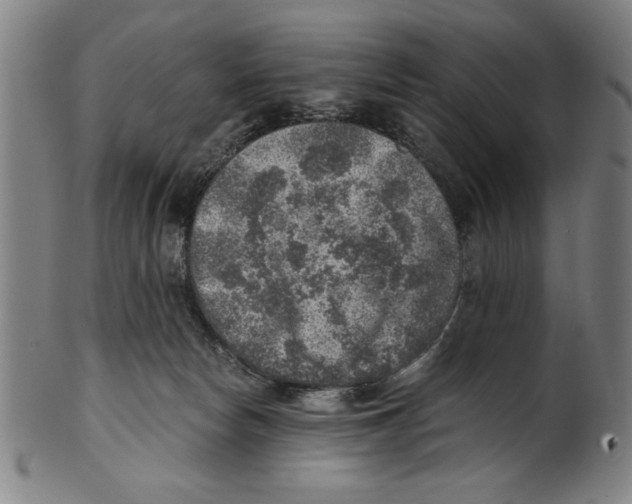 X0000100900178200807221000