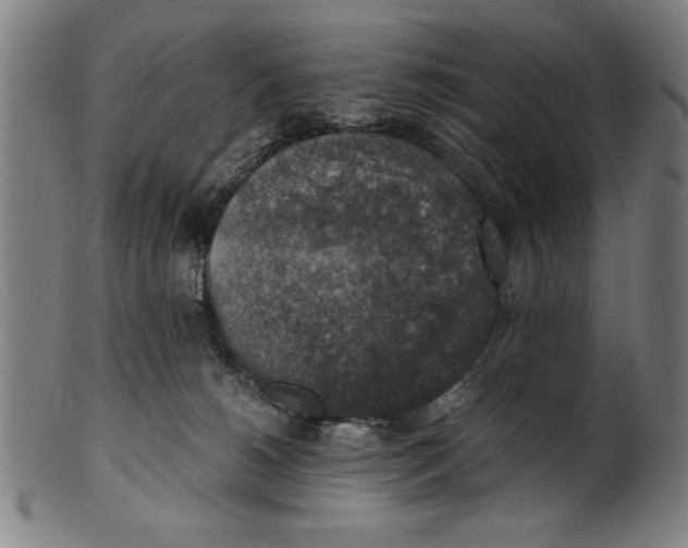 X0000100900180200807221000