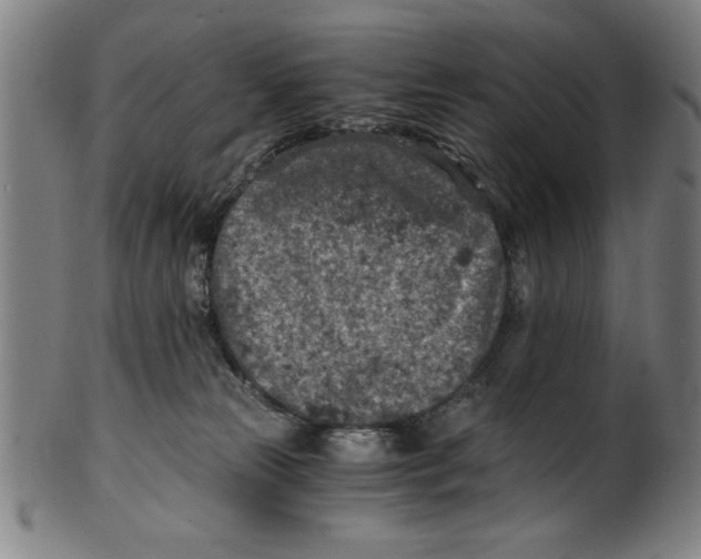 X0000100900181200807221000