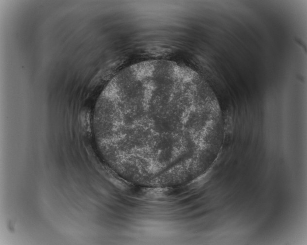 X0000100900182200807221000