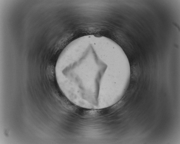 X0000100900184200807221000