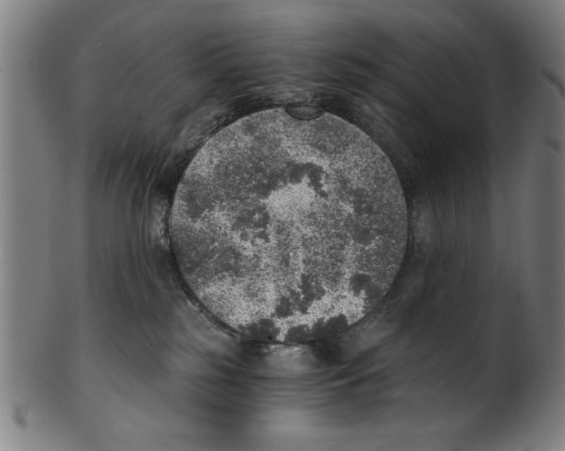 X0000100900185200807221000